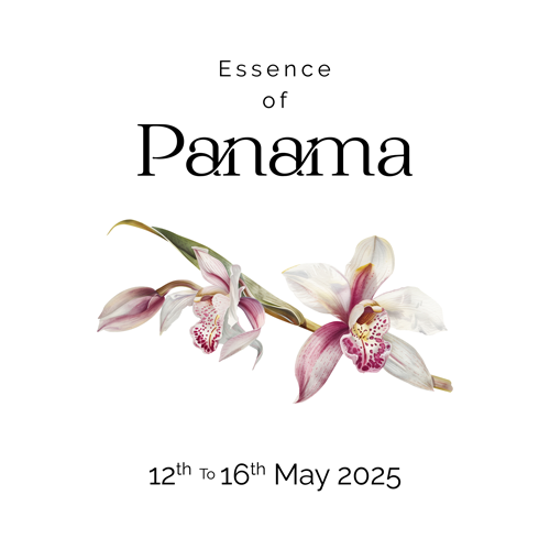 the essence phuket